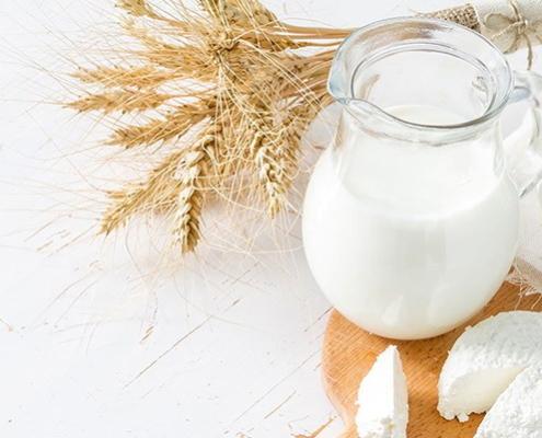 молочные продукты, молочка, творог, запеканка, натуральные прдукты