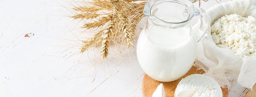 молочные продукты, молочка, творог, запеканка, натуральные прдукты
